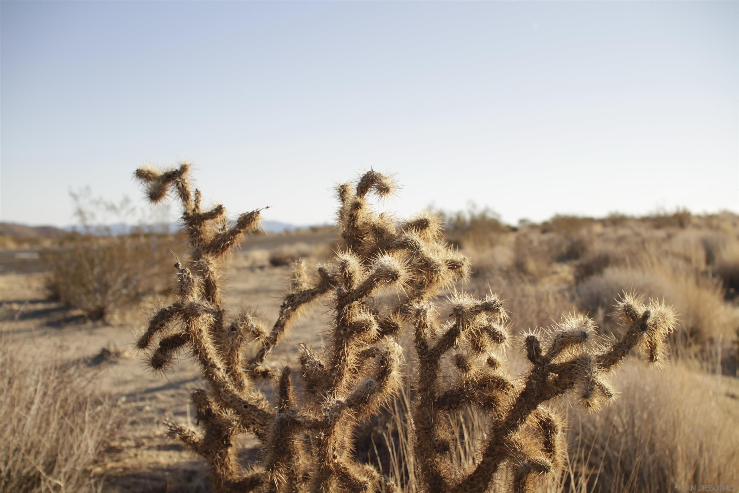 Detail Gallery Image 24 of 32 For , Joshua Tree,  CA 92252 - – Beds | – Baths
