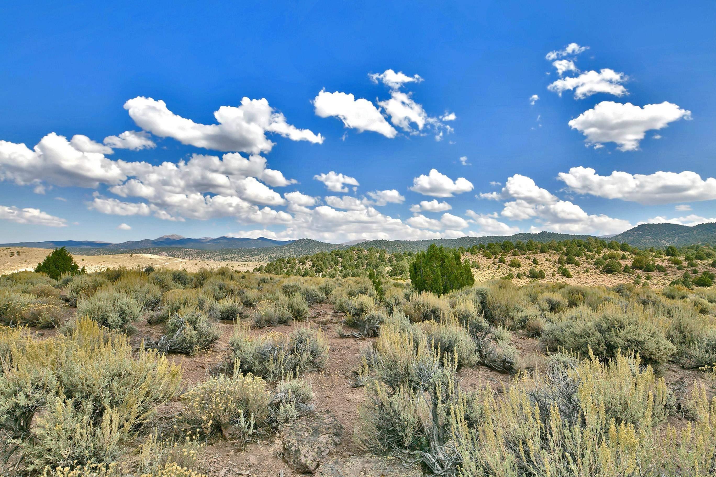Detail Gallery Image 38 of 38 For 350  Aspen Lane, Bridgeport,  CA 93517 - 4 Beds | 3/1 Baths
