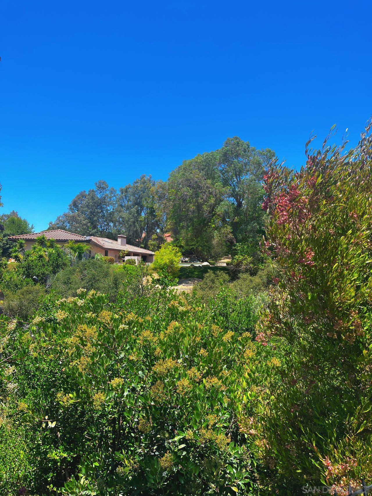 Detail Gallery Image 36 of 47 For 17335  via Del Bravo, Rancho Santa Fe,  CA 92067 - 4 Beds | 2/1 Baths