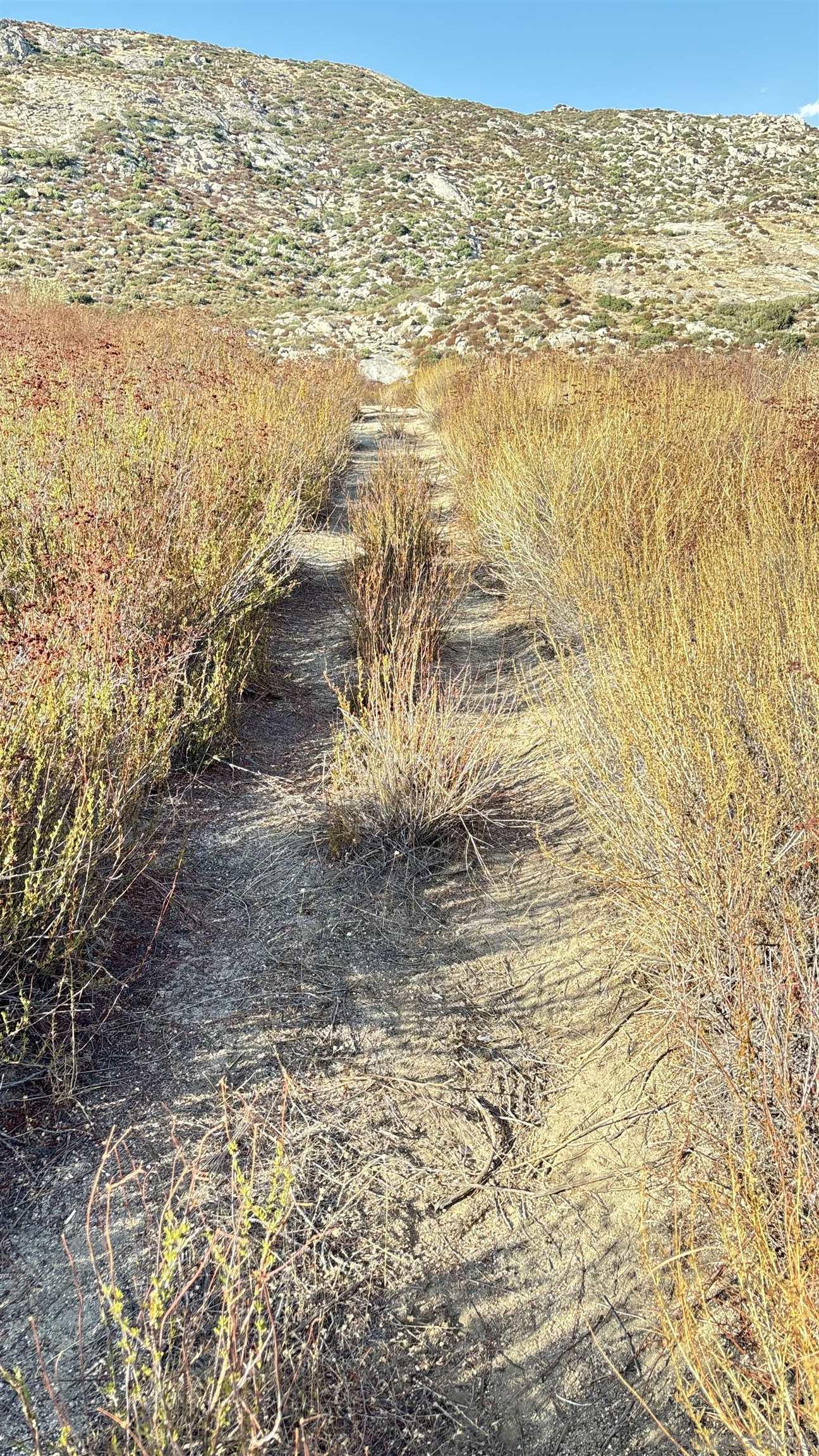 Detail Gallery Image 17 of 19 For , Campo,  CA 91906 - – Beds | – Baths