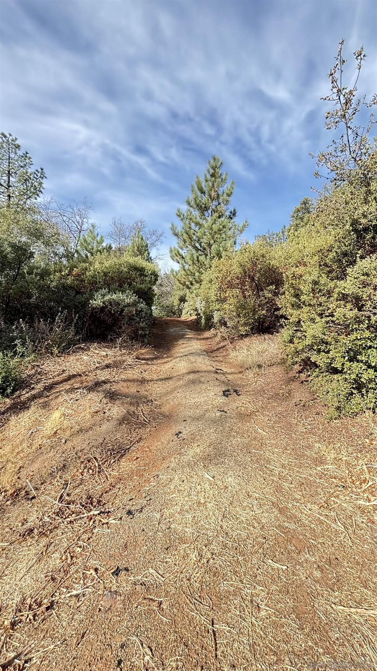 Detail Gallery Image 5 of 21 For , Julian,  CA 92036 - – Beds | – Baths