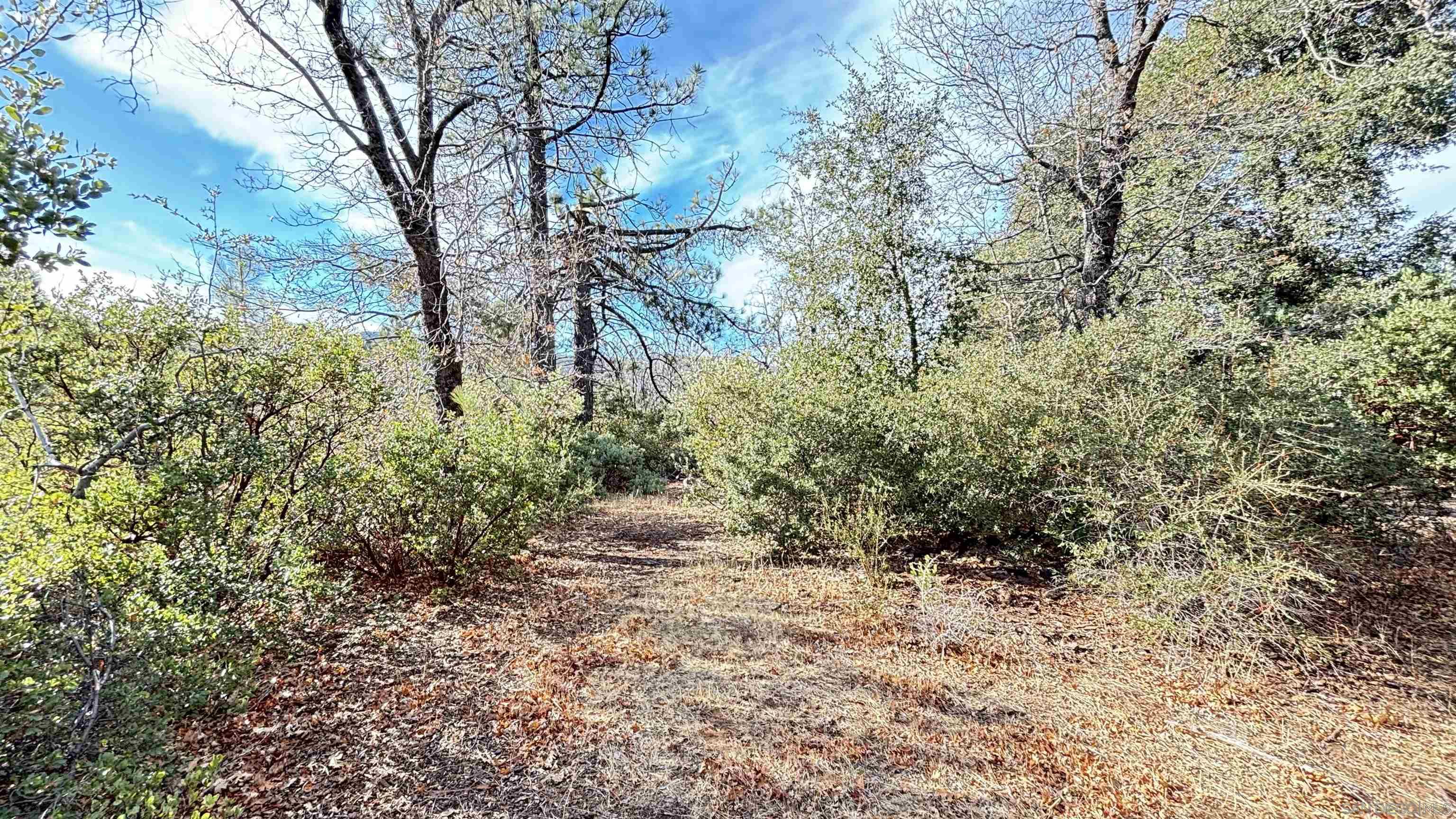 Detail Gallery Image 7 of 21 For , Julian,  CA 92036 - – Beds | – Baths