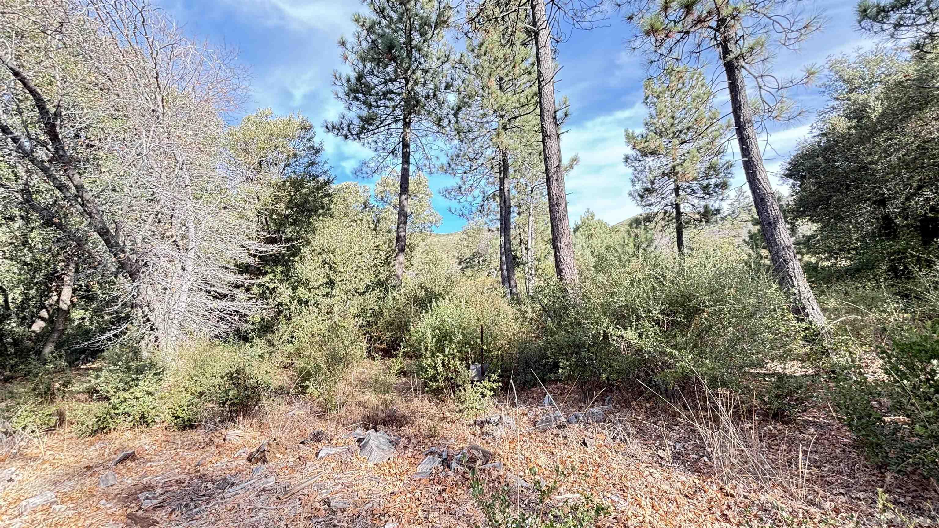 Detail Gallery Image 9 of 21 For , Julian,  CA 92036 - – Beds | – Baths