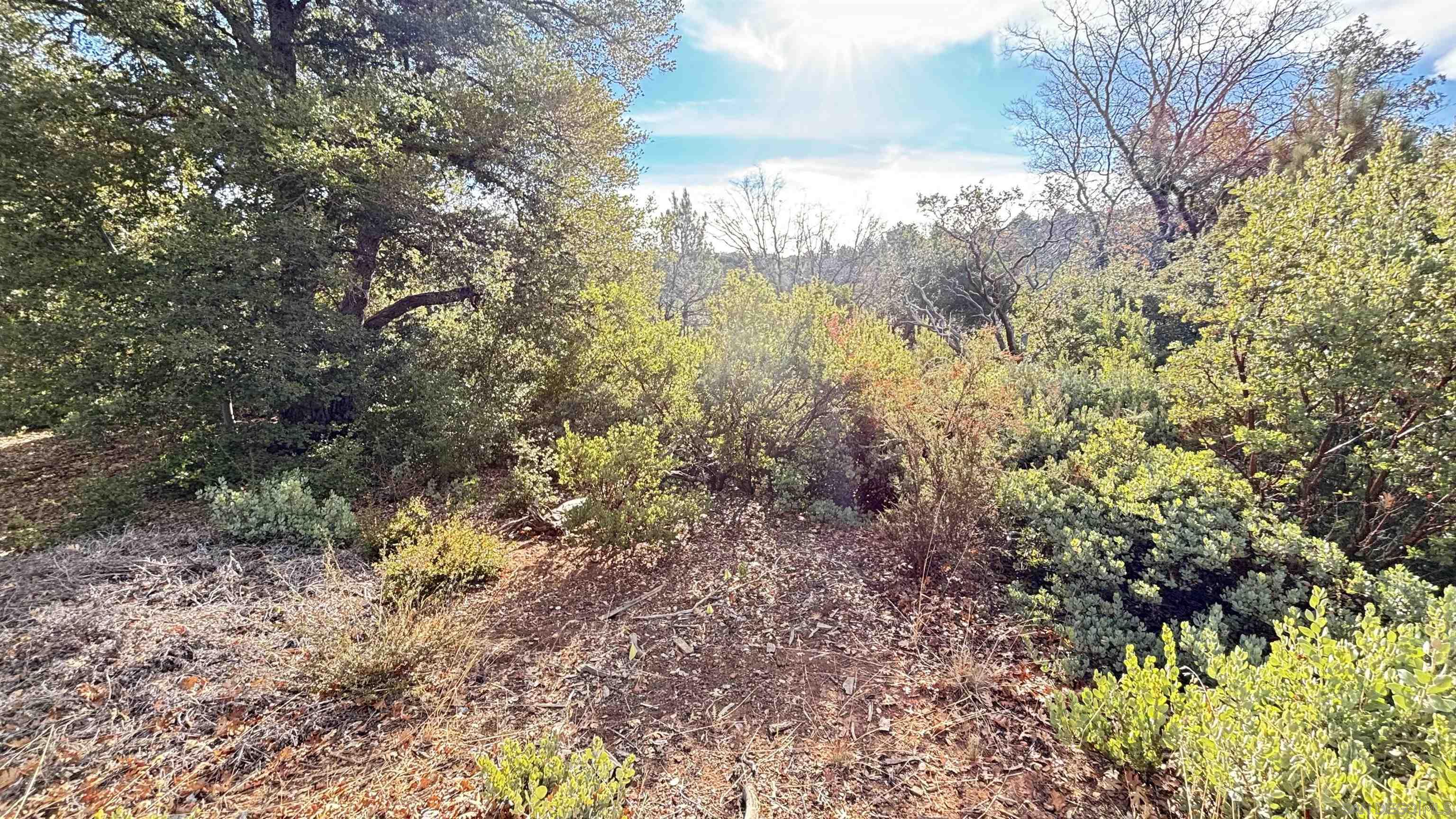 Detail Gallery Image 10 of 21 For , Julian,  CA 92036 - – Beds | – Baths