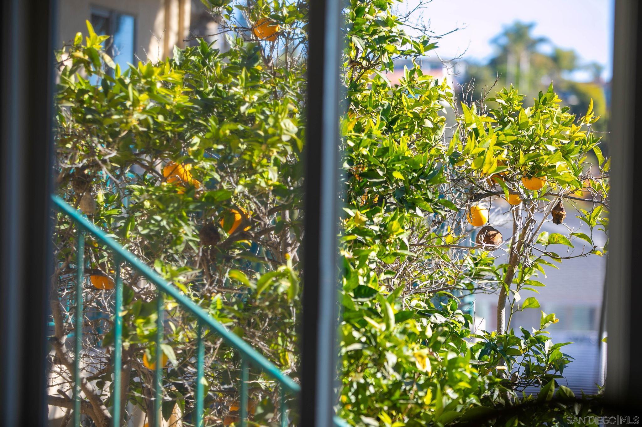 Detail Gallery Image 16 of 49 For 210  a Street S 11, Encinitas,  CA 92024 - 1 Beds | 1 Baths