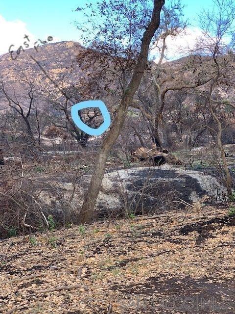 Detail Gallery Image 22 of 50 For , Jamul,  CA 91935 - – Beds | – Baths