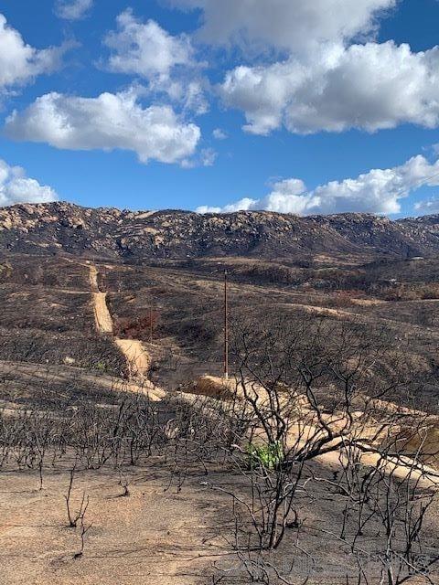 Detail Gallery Image 23 of 50 For , Jamul,  CA 91935 - – Beds | – Baths