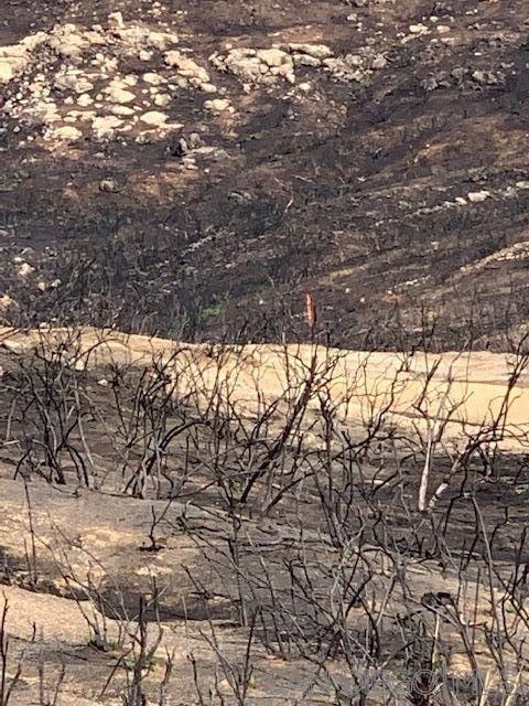 Detail Gallery Image 24 of 50 For , Jamul,  CA 91935 - – Beds | – Baths