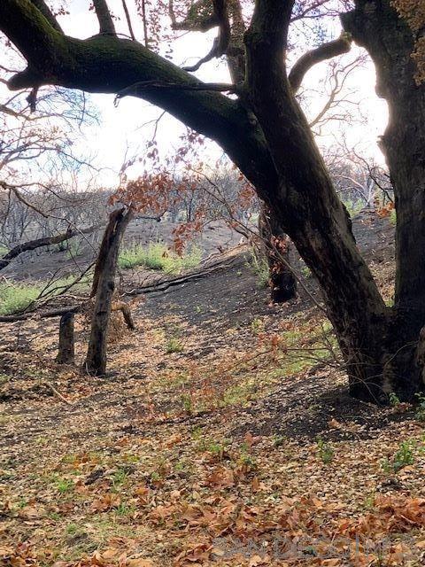 Detail Gallery Image 28 of 50 For , Jamul,  CA 91935 - – Beds | – Baths