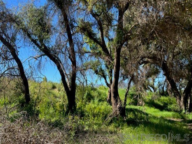 Detail Gallery Image 34 of 50 For , Jamul,  CA 91935 - – Beds | – Baths