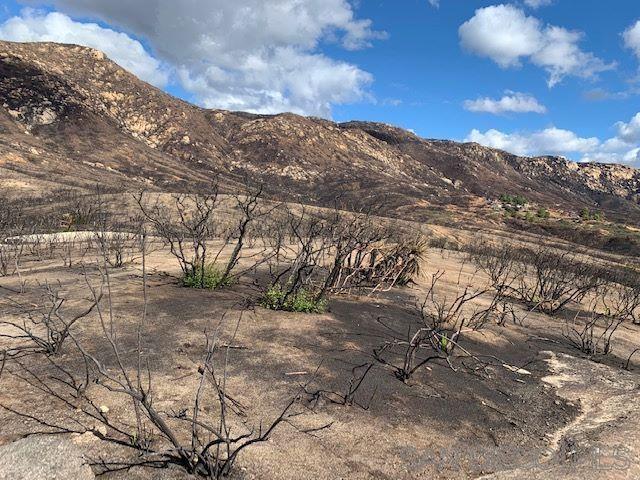 Detail Gallery Image 37 of 50 For , Jamul,  CA 91935 - – Beds | – Baths