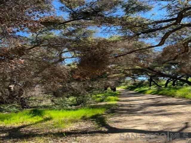 Detail Gallery Image 5 of 29 For , Jamul,  CA 91935 - – Beds | – Baths