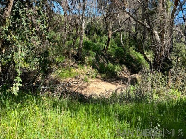 Detail Gallery Image 6 of 29 For , Jamul,  CA 91935 - – Beds | – Baths