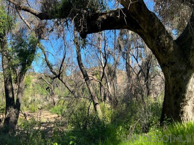 Detail Gallery Image 8 of 29 For , Jamul,  CA 91935 - – Beds | – Baths