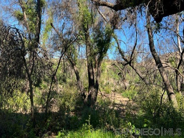 Detail Gallery Image 7 of 19 For , Jamul,  CA 91935 - – Beds | – Baths