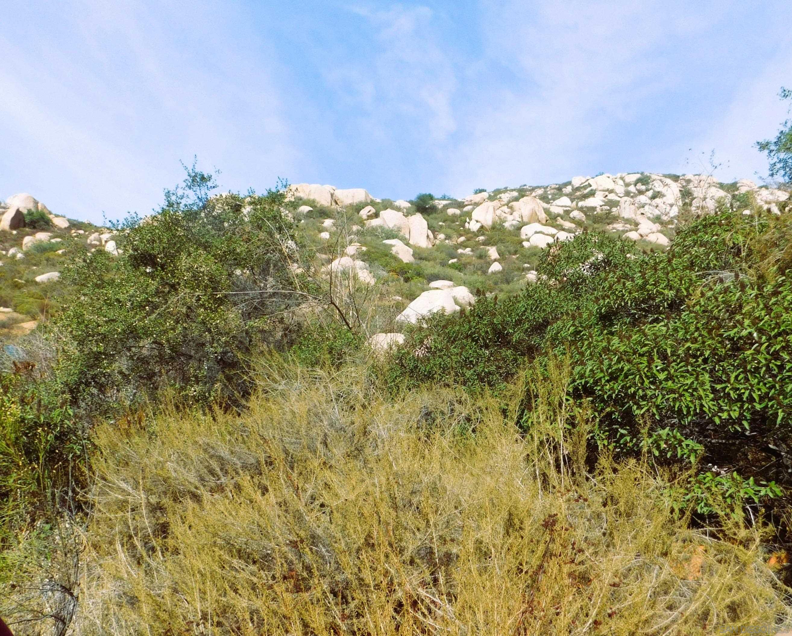 Detail Gallery Image 10 of 20 For , Jamul,  CA 91935 - – Beds | – Baths