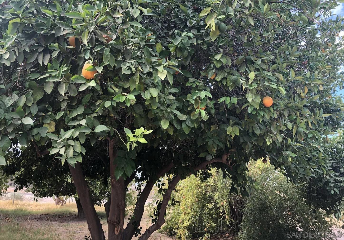 Detail Gallery Image 7 of 7 For 1905 E Heber Rd., –,  CA 92250 - 3 Beds | 1 Baths