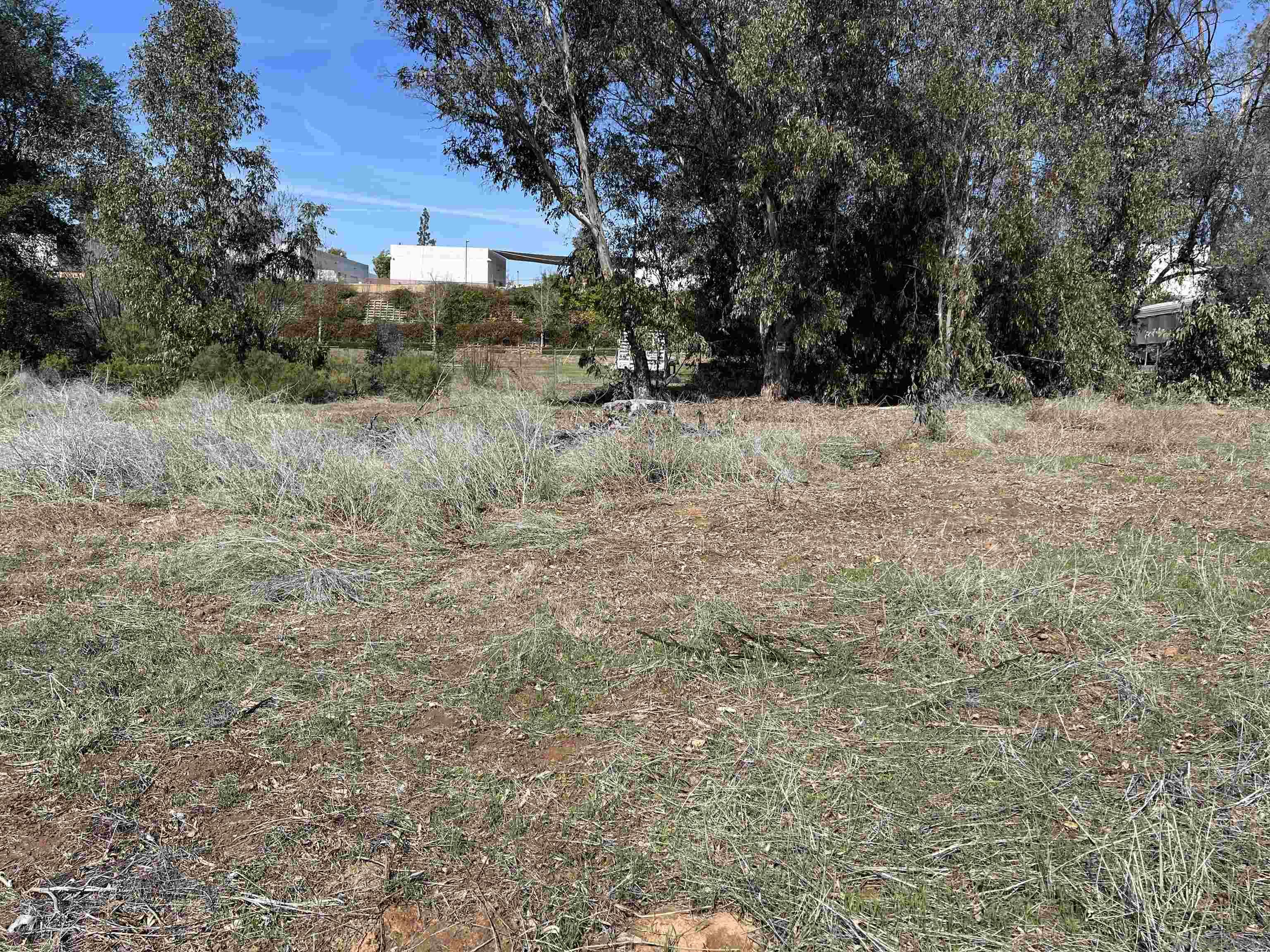 Detail Gallery Image 9 of 16 For , Escondido,  CA 92029 - – Beds | – Baths