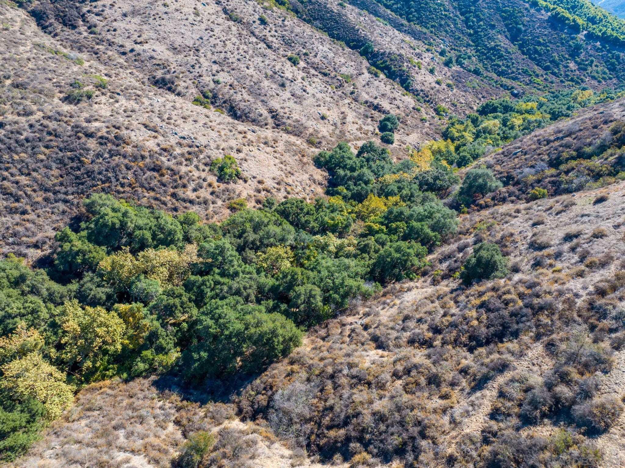 Detail Gallery Image 15 of 18 For , Fallbrook,  CA 92028 - – Beds | – Baths