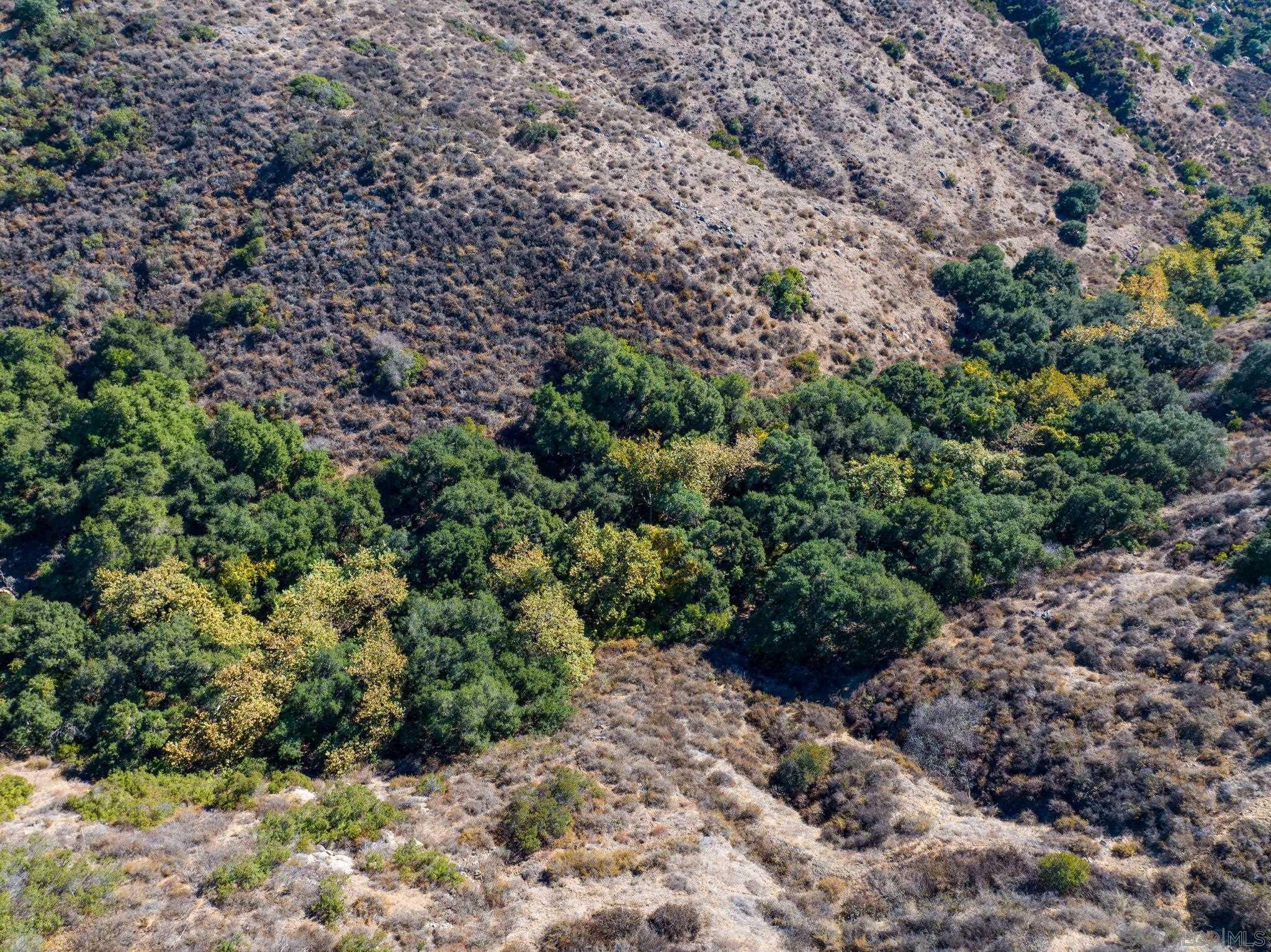 Detail Gallery Image 16 of 18 For , Fallbrook,  CA 92028 - – Beds | – Baths