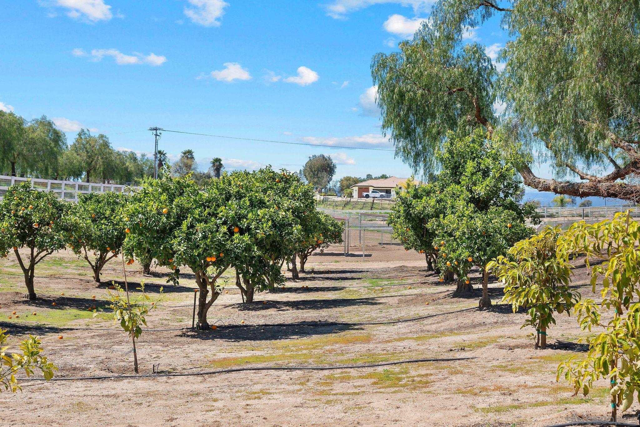 Detail Gallery Image 24 of 24 For 34020  Madera De Playa, Temecula,  CA 92592 - 3 Beds | 3 Baths