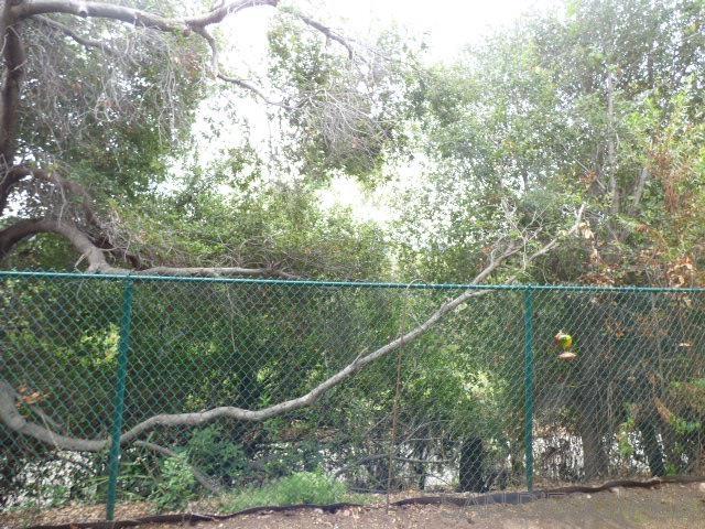 Detail Gallery Image 18 of 18 For 1317  Caminito Gabaldon  #B,  San Diego,  CA 92108 - 2 Beds | 2 Baths