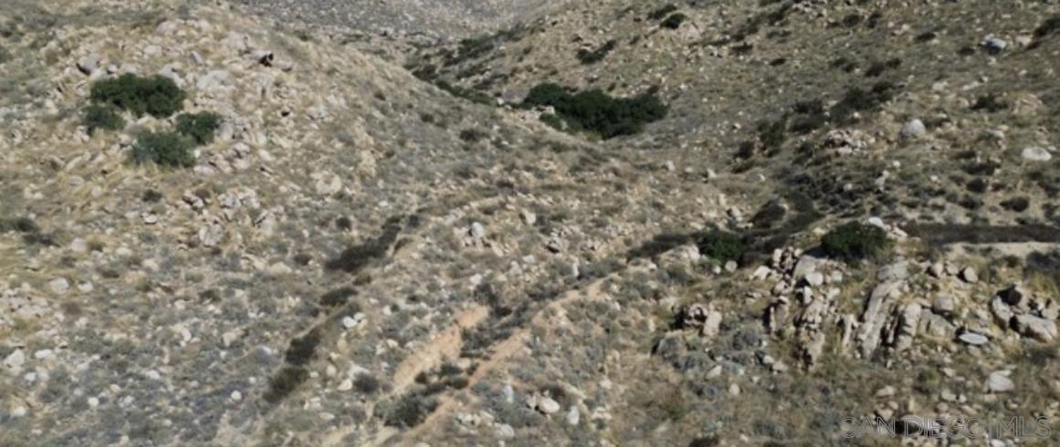 Front Image Thumbnail for SD250025830