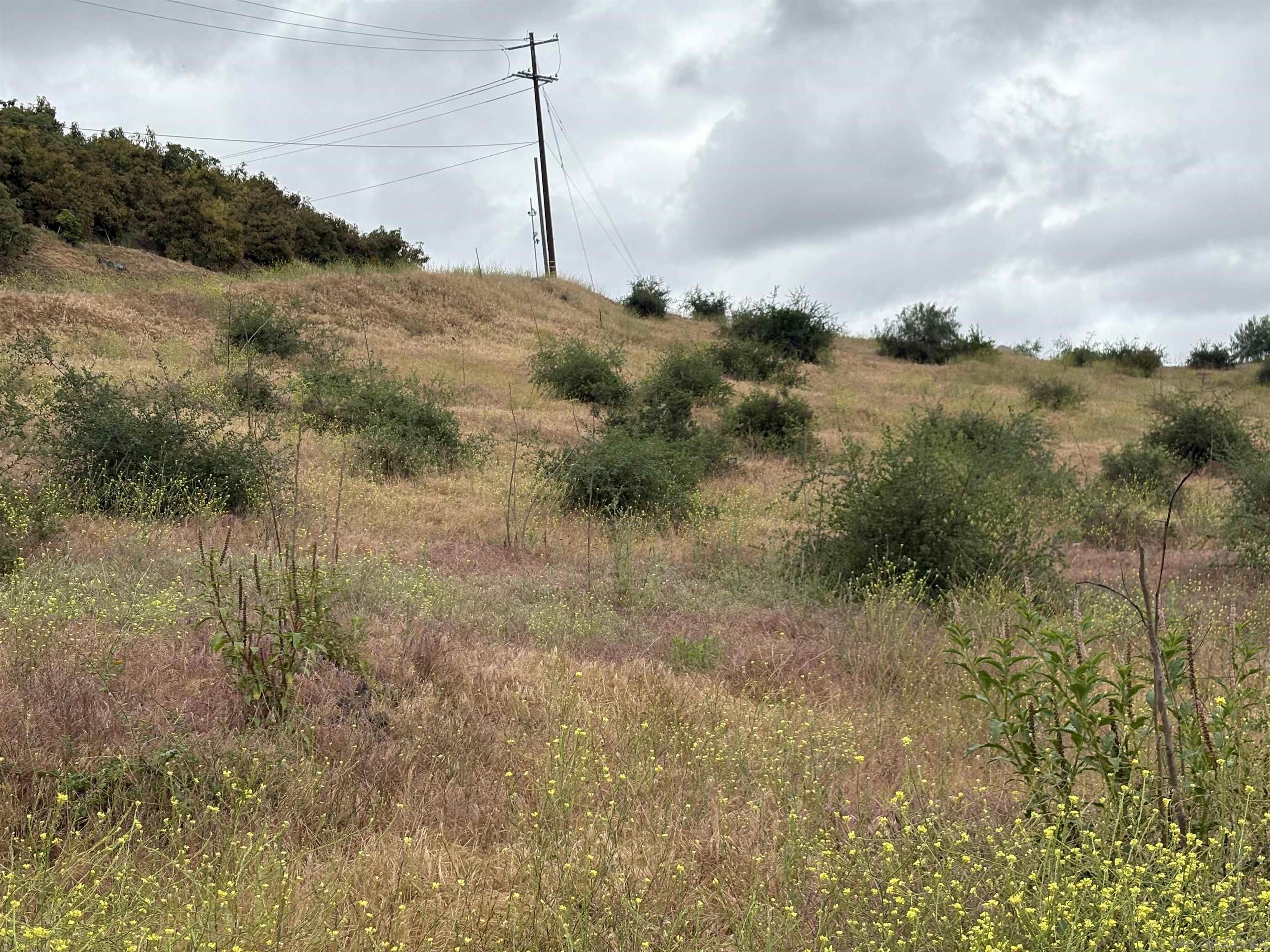 Detail Gallery Image 11 of 32 For , Valley Center,  CA 92082 - – Beds | – Baths