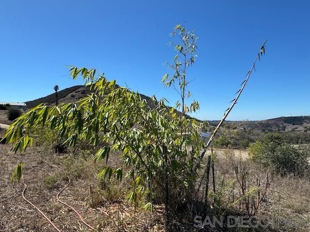 Detail Gallery Image 16 of 32 For , Valley Center,  CA 92082 - – Beds | – Baths