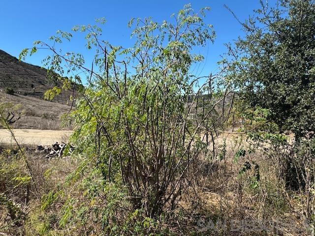 Detail Gallery Image 18 of 32 For , Valley Center,  CA 92082 - – Beds | – Baths