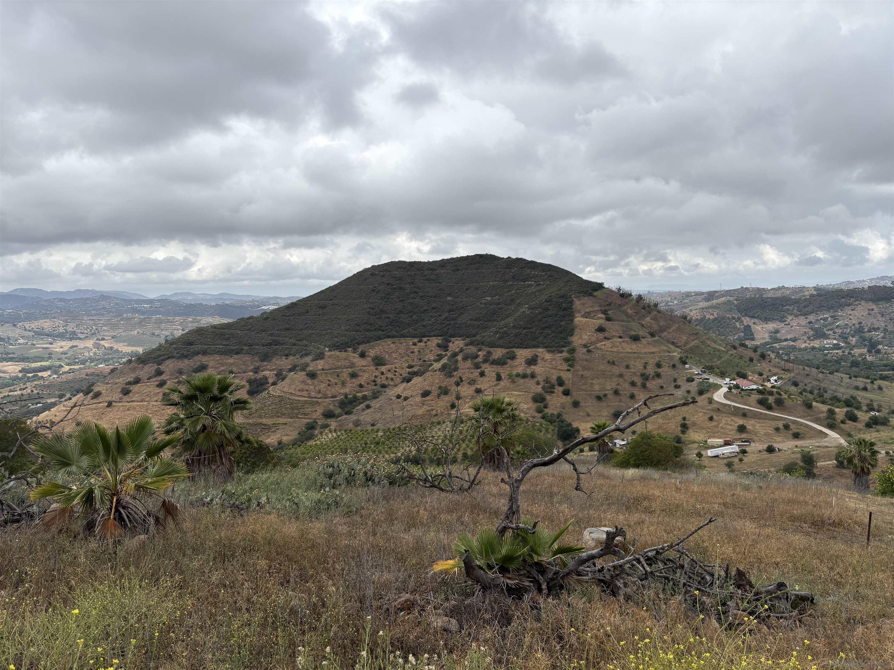 Detail Gallery Image 3 of 32 For , Valley Center,  CA 92082 - – Beds | – Baths