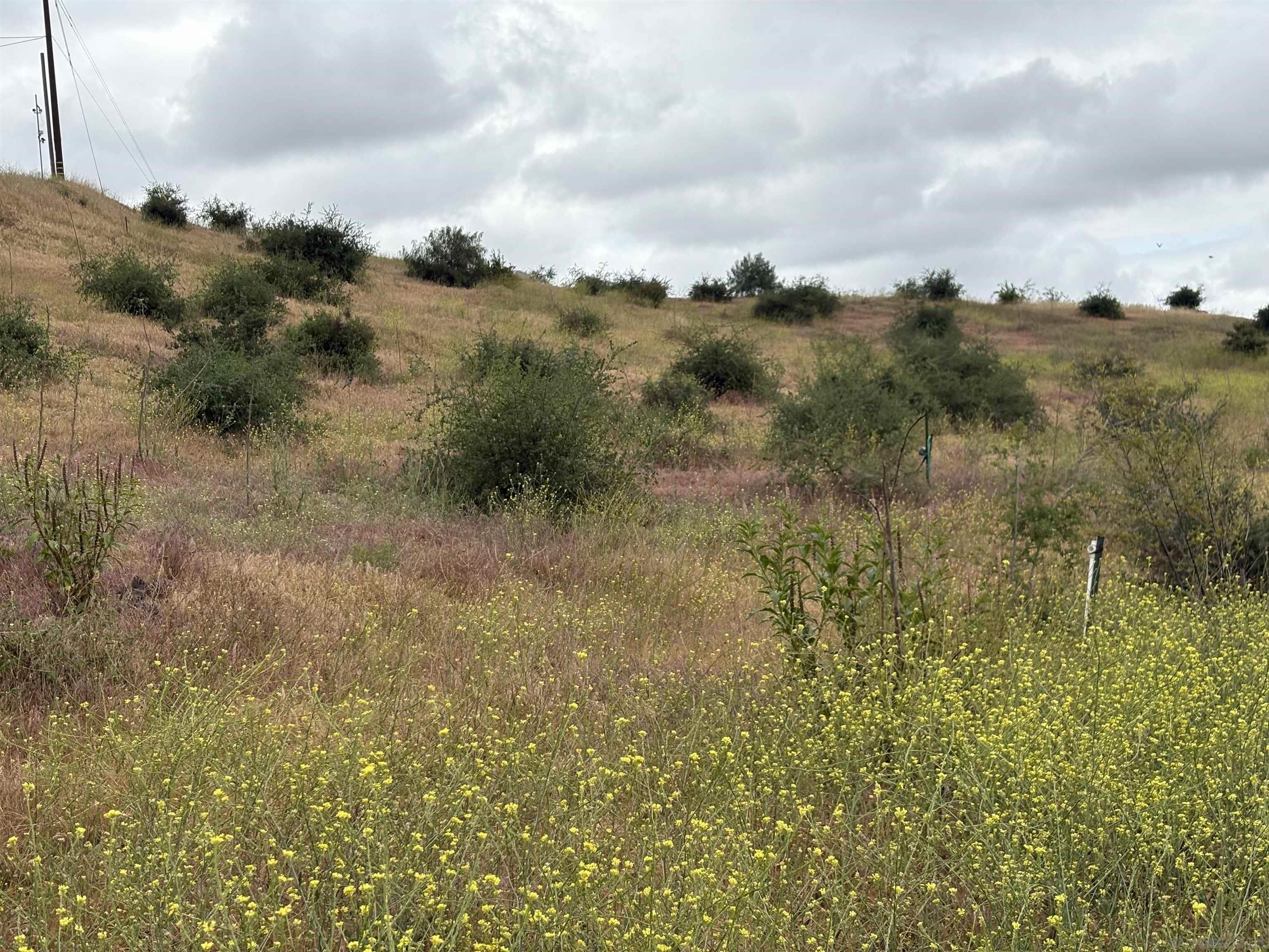 Detail Gallery Image 9 of 32 For , Valley Center,  CA 92082 - – Beds | – Baths