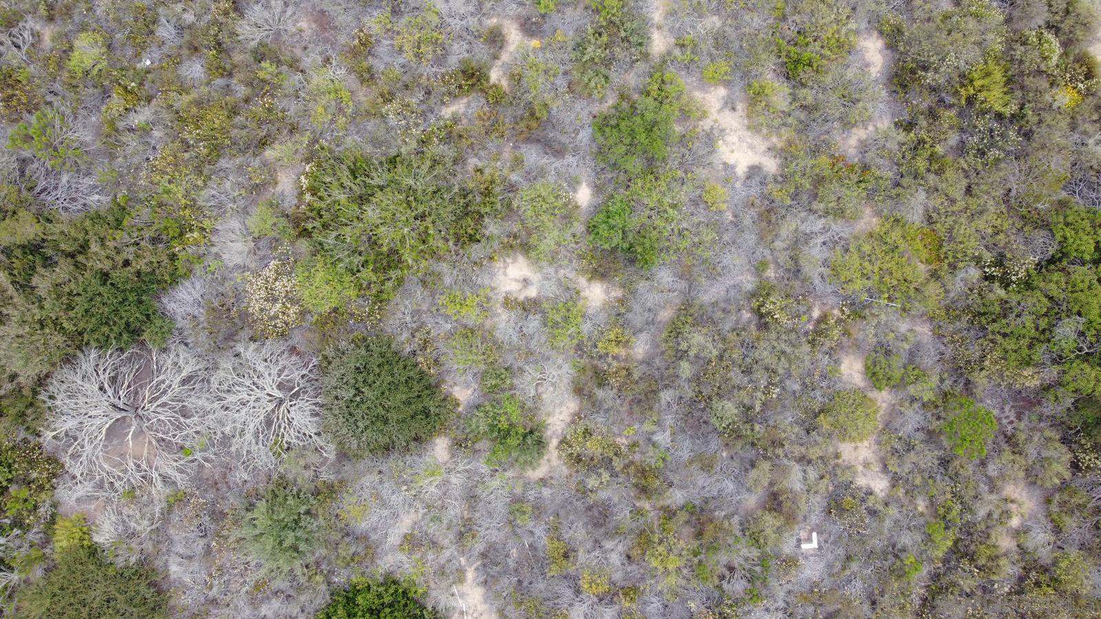 Detail Gallery Image 20 of 20 For , San Diego,  CA 92130 - – Beds | – Baths