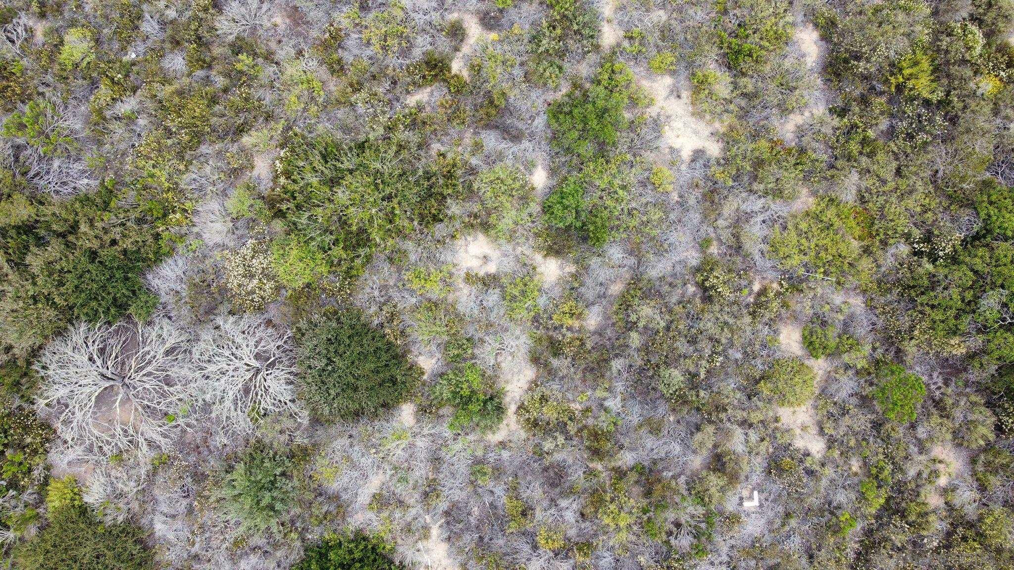 Detail Gallery Image 6 of 20 For , San Diego,  CA 92130 - – Beds | – Baths