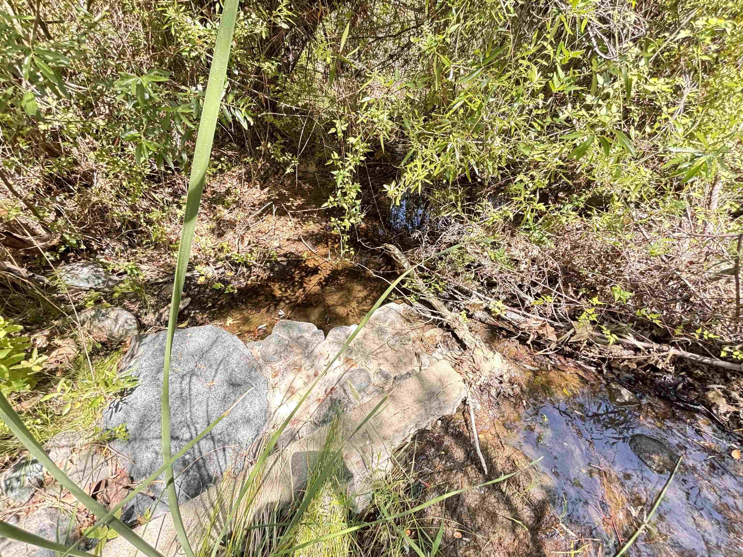 Detail Gallery Image 12 of 18 For , Dulzura,  CA 91917 - – Beds | – Baths