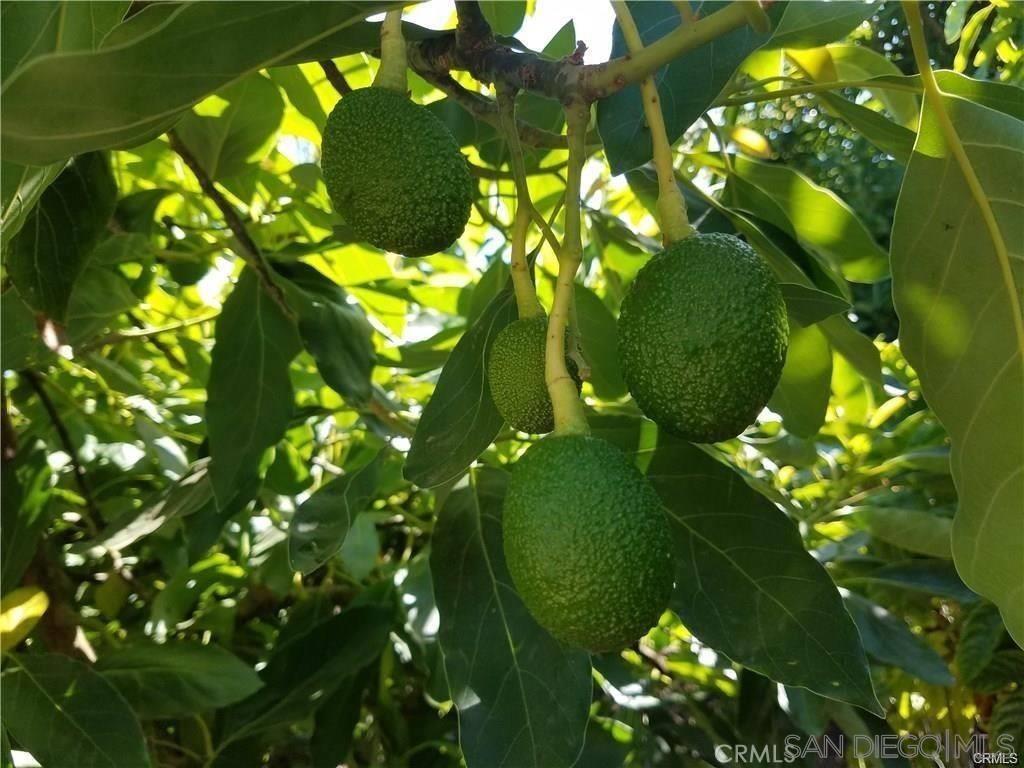 Detail Gallery Image 14 of 14 For , Temecula,  CA 92590 - – Beds | – Baths