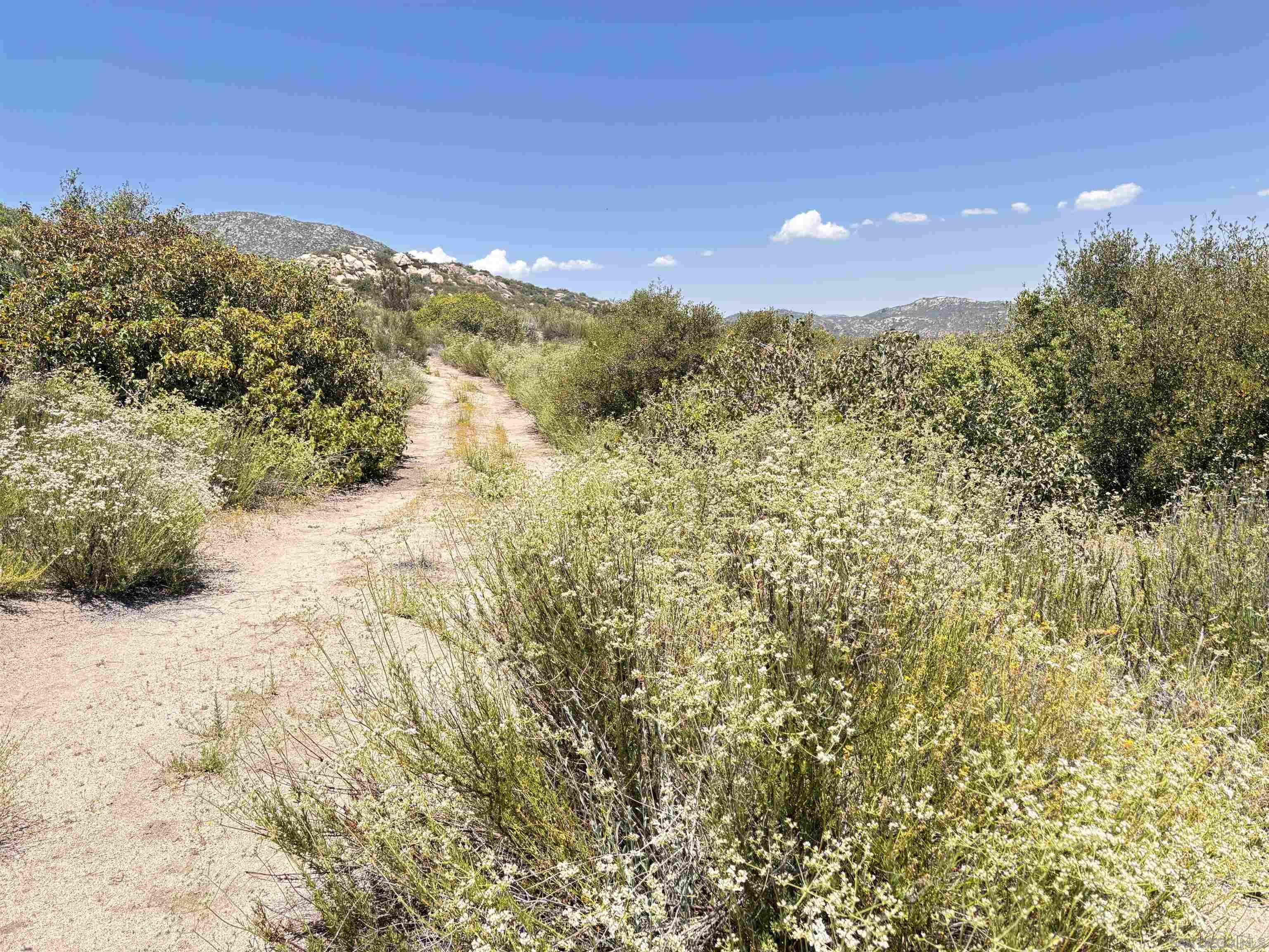 Detail Gallery Image 4 of 8 For , Campo,  CA 91906 - – Beds | – Baths