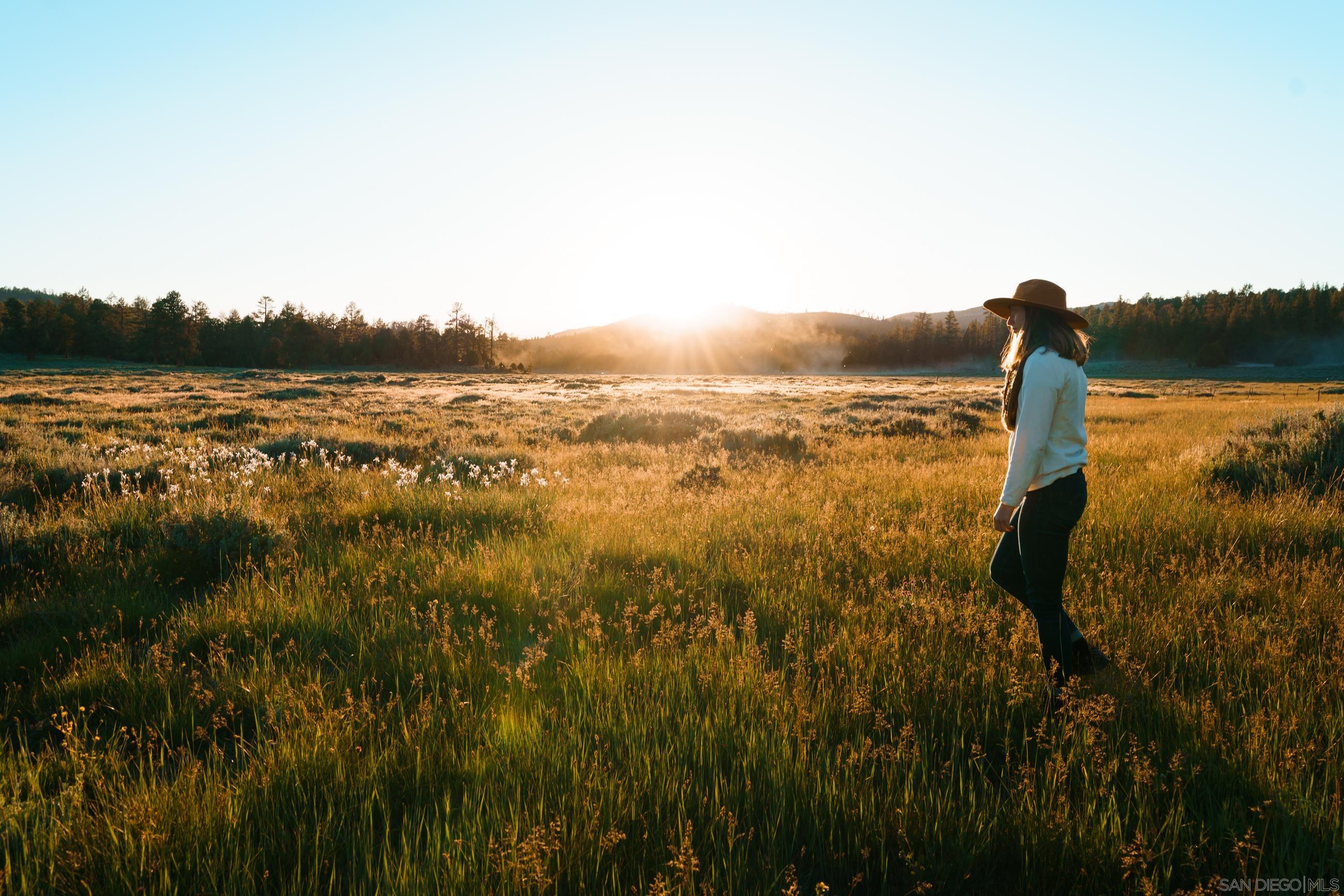 Detail Gallery Image 12 of 28 For , Fawnskin,  CA 92333 - – Beds | – Baths