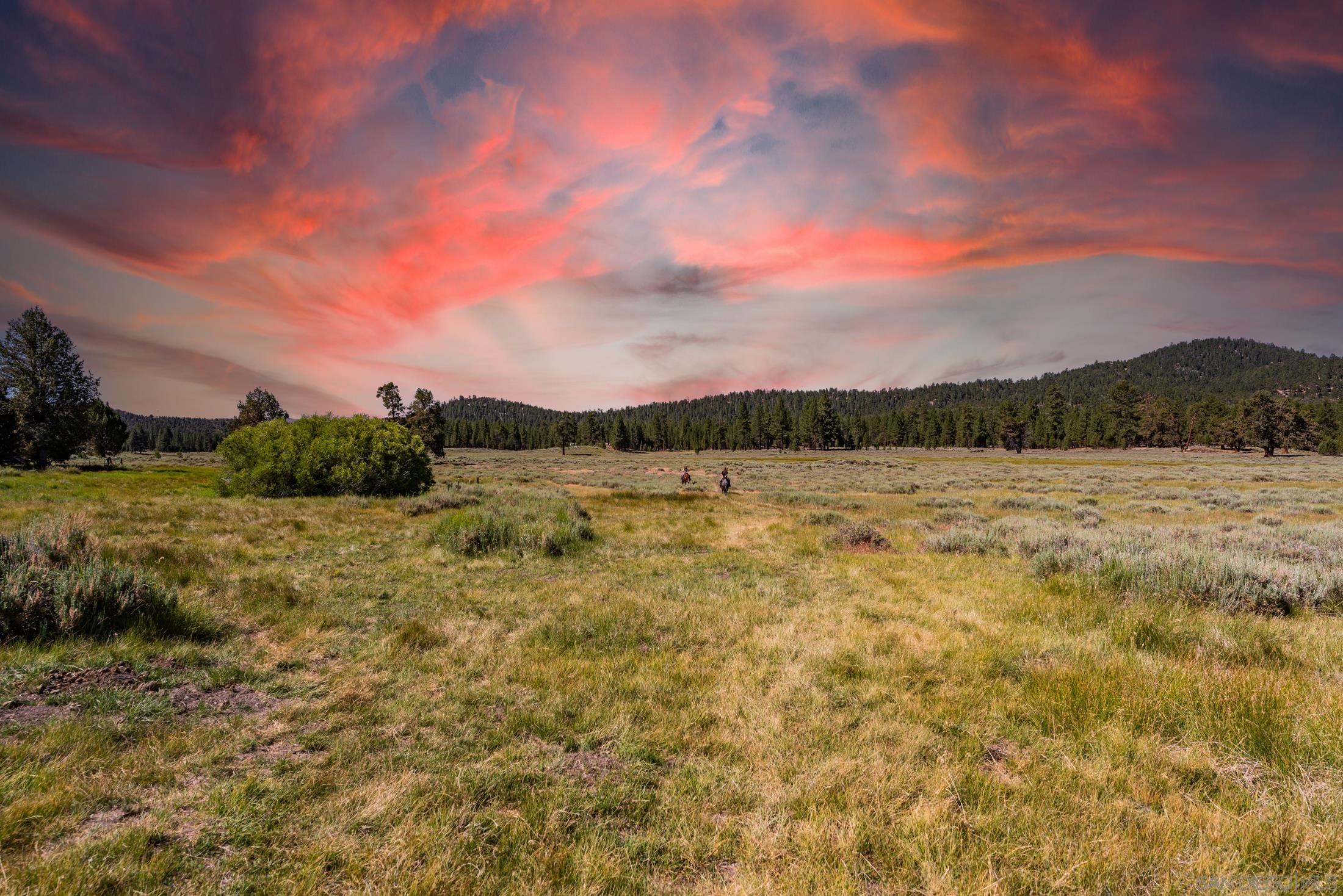 Detail Gallery Image 19 of 28 For , Fawnskin,  CA 92333 - – Beds | – Baths