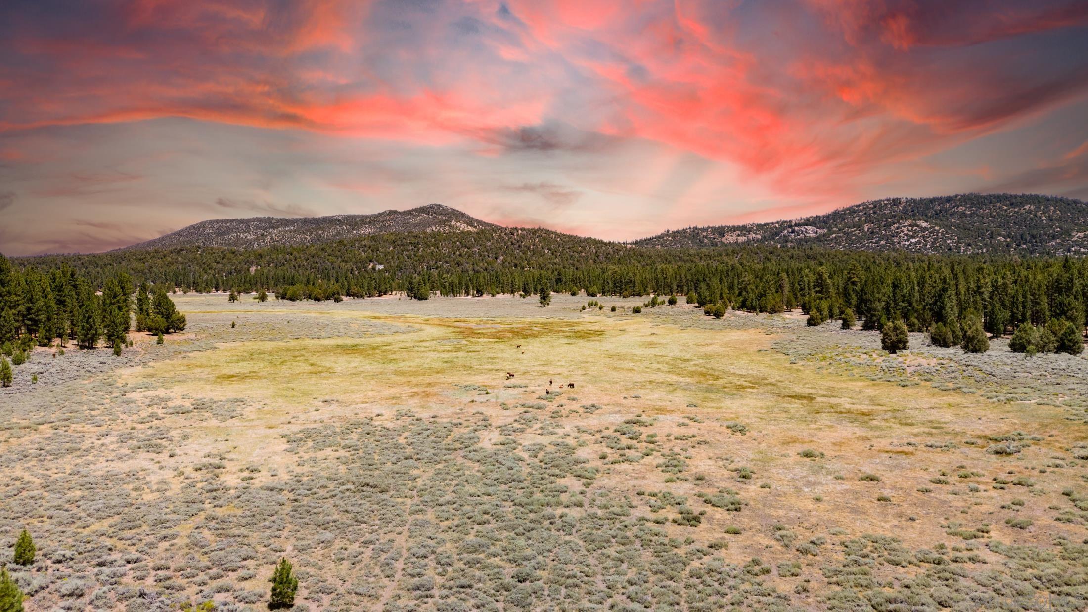 Detail Gallery Image 25 of 28 For , Fawnskin,  CA 92333 - – Beds | – Baths