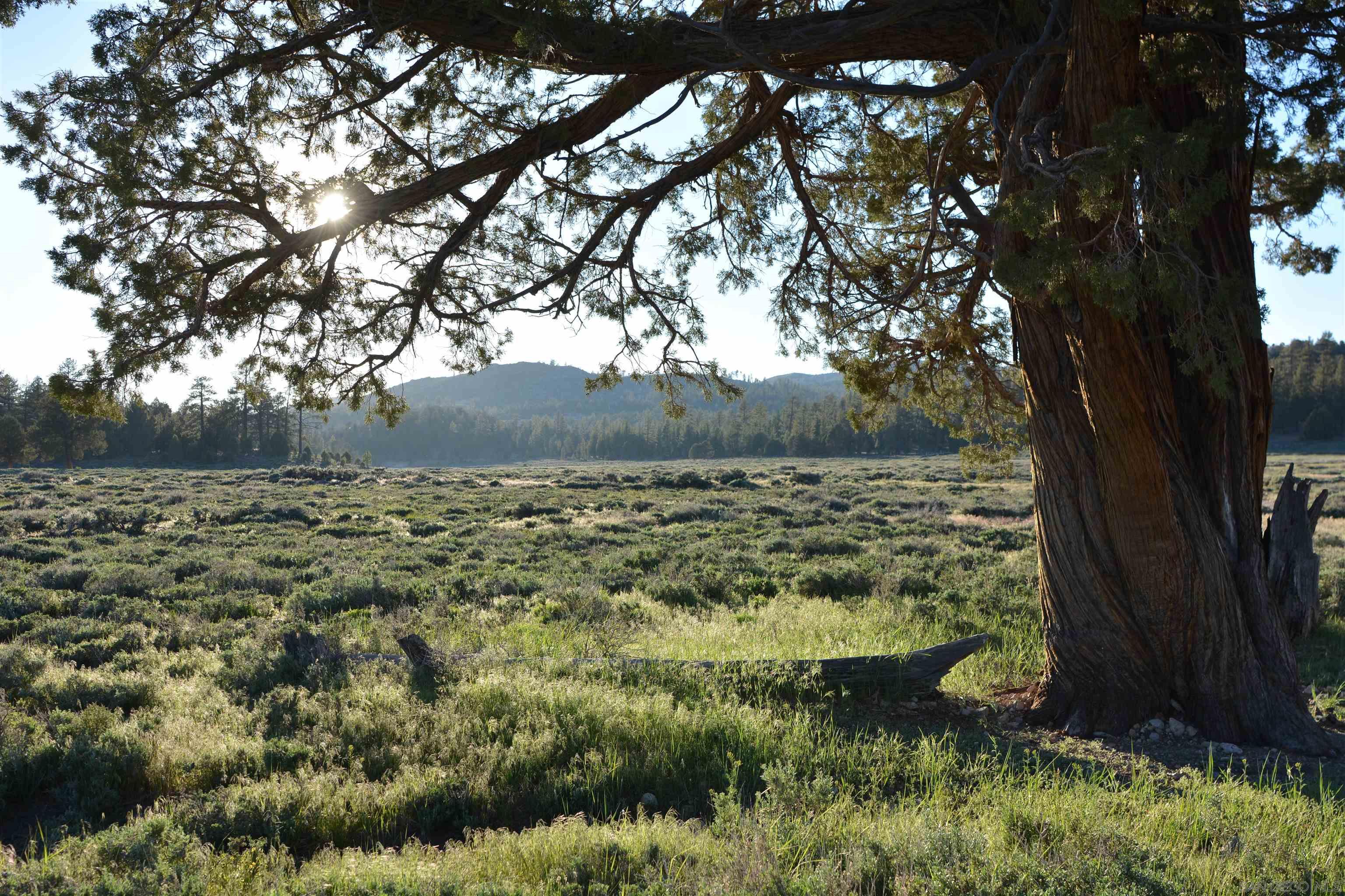 Detail Gallery Image 28 of 28 For , Fawnskin,  CA 92333 - – Beds | – Baths