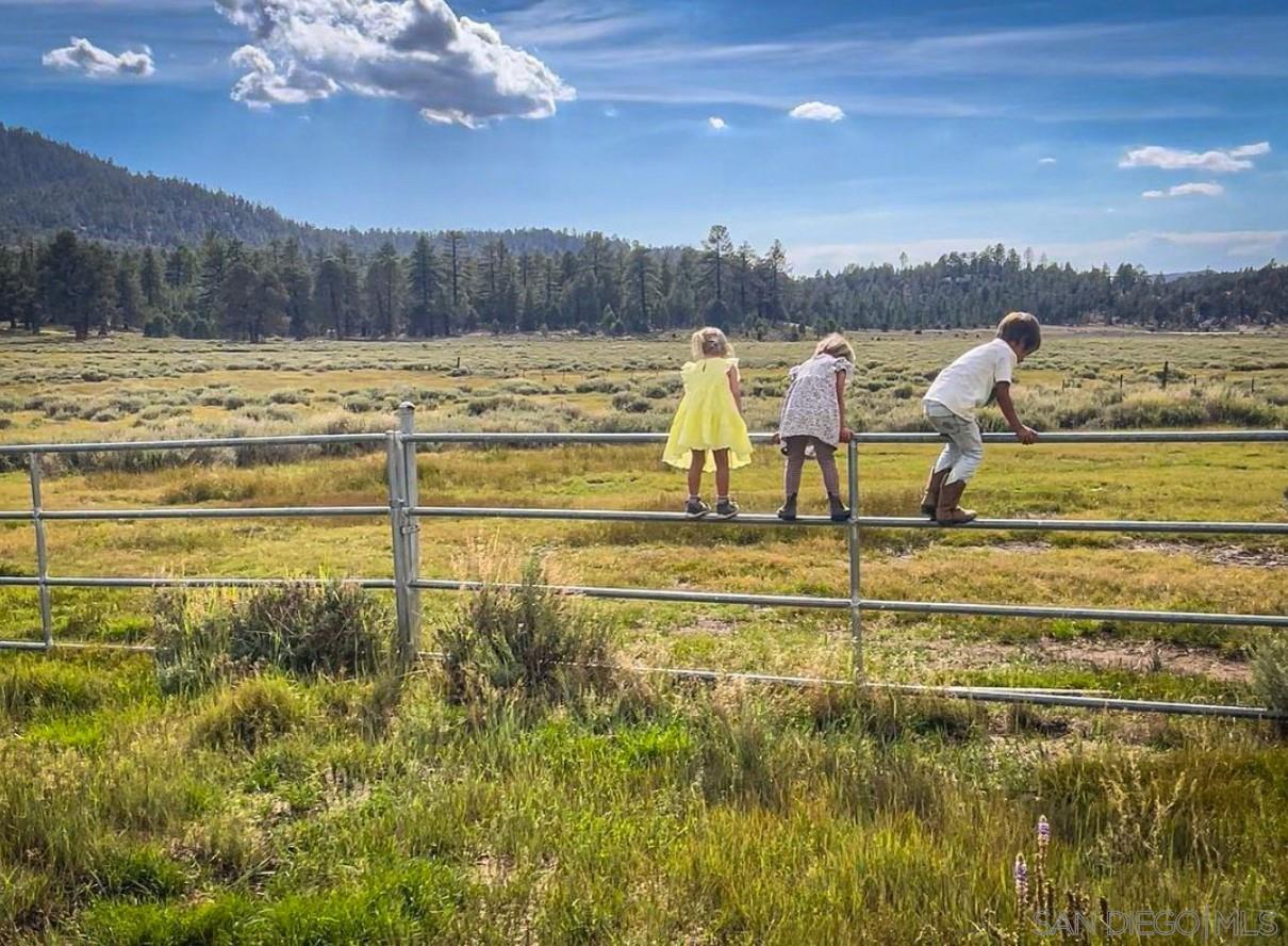 Detail Gallery Image 9 of 28 For , Fawnskin,  CA 92333 - – Beds | – Baths