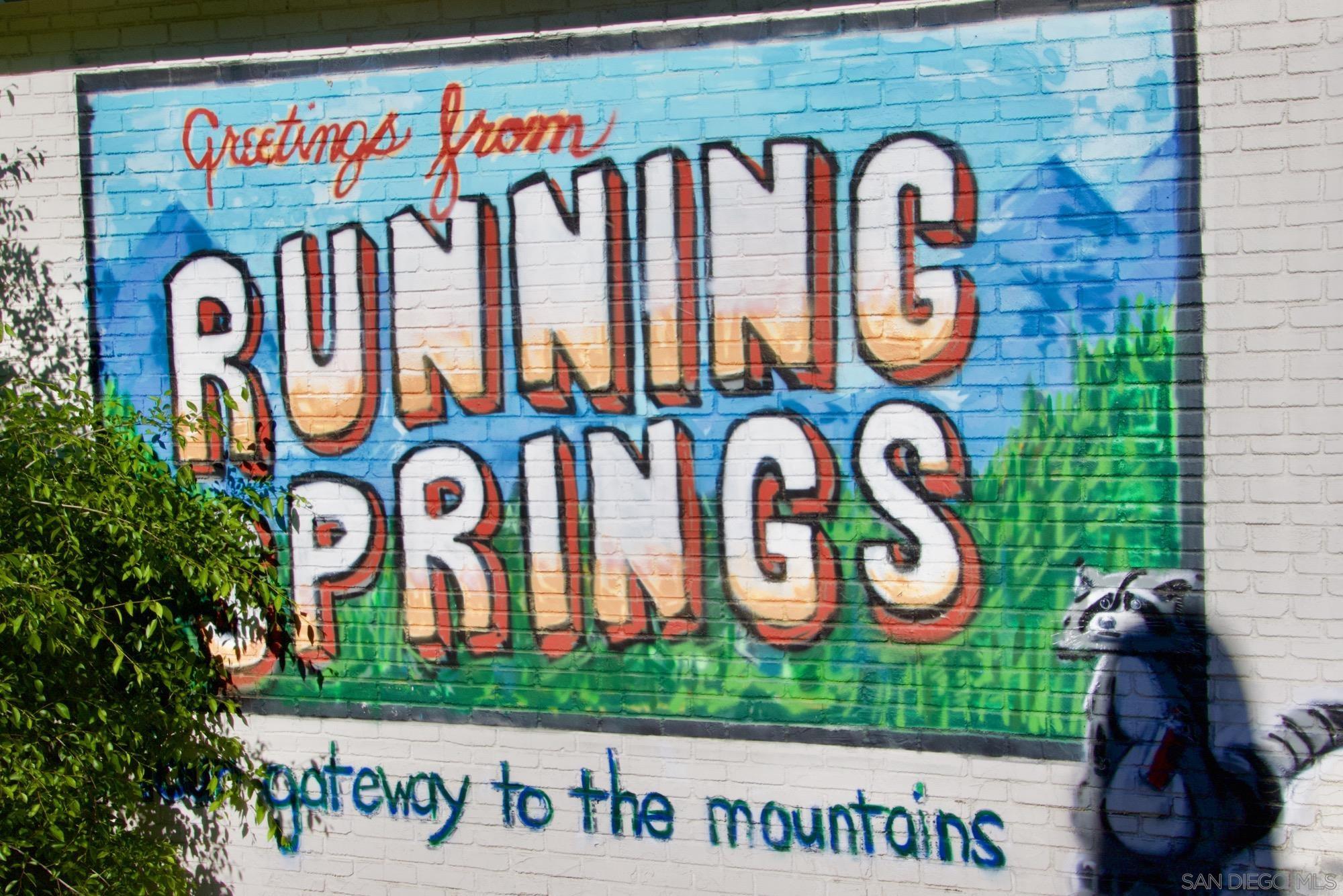 Detail Gallery Image 26 of 39 For , Running Springs,  CA 92382 - – Beds | – Baths