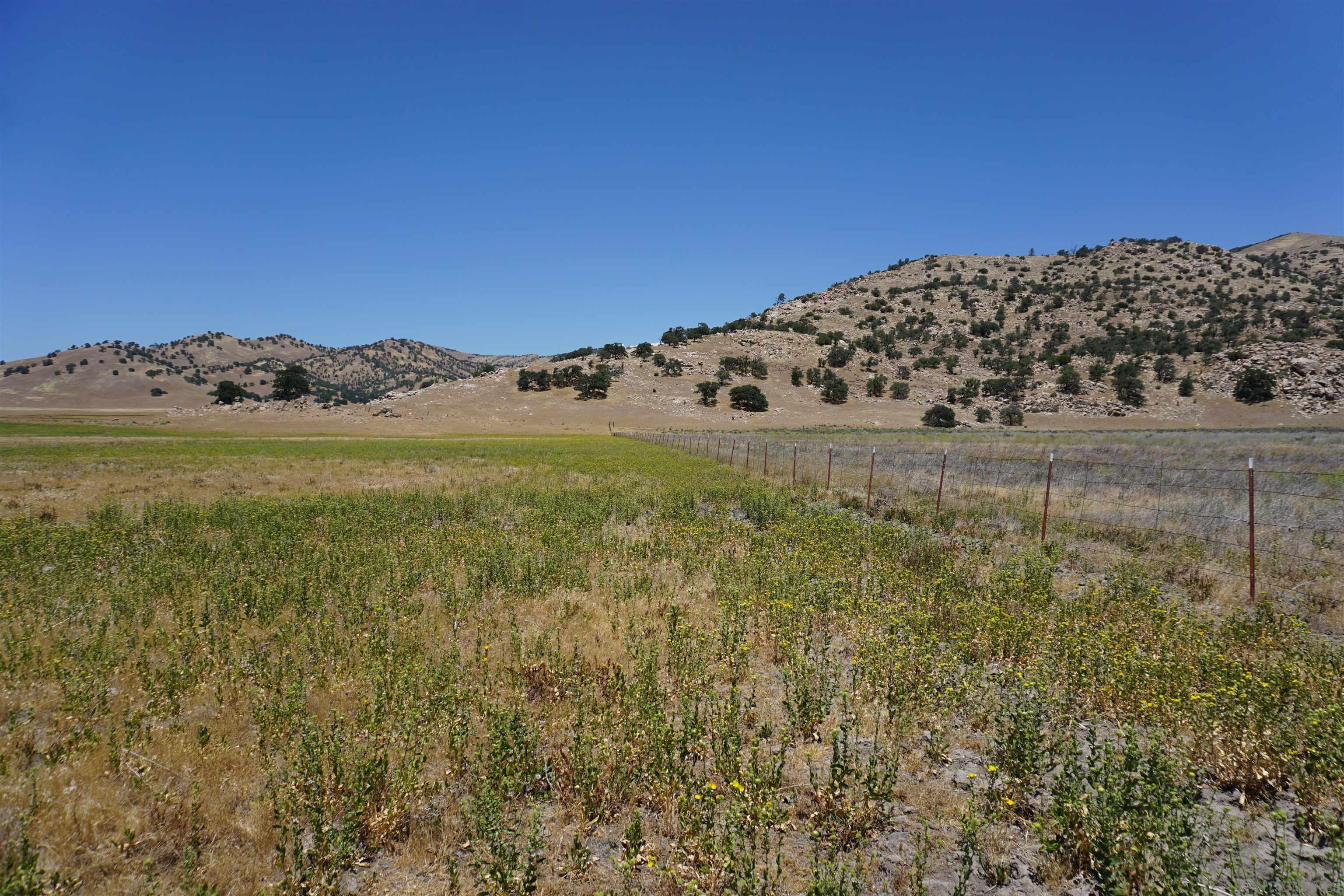 Detail Gallery Image 11 of 19 For , Tehachapi,  CA 93561 - – Beds | – Baths