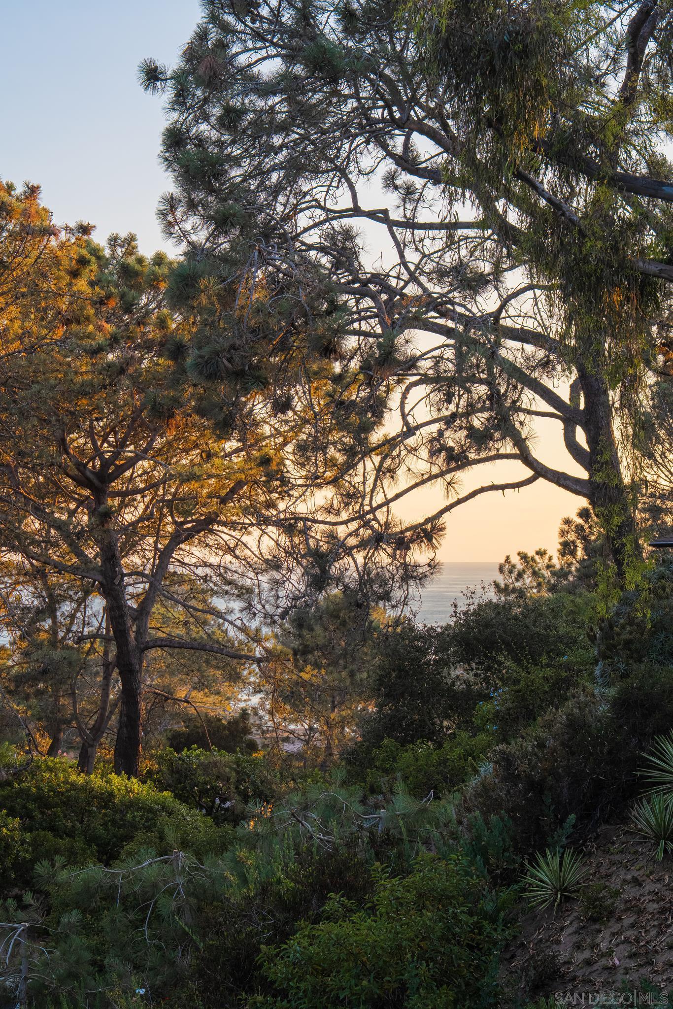 Detail Gallery Image 60 of 74 For 404  Pine Needles, Del Mar,  CA 92014 - 4 Beds | 4/1 Baths