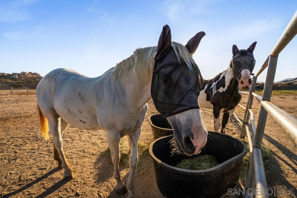 Detail Gallery Image 8 of 75 For 40760  Old Highway 80, Boulevard,  CA 91905 - 6 Beds | 3 Baths