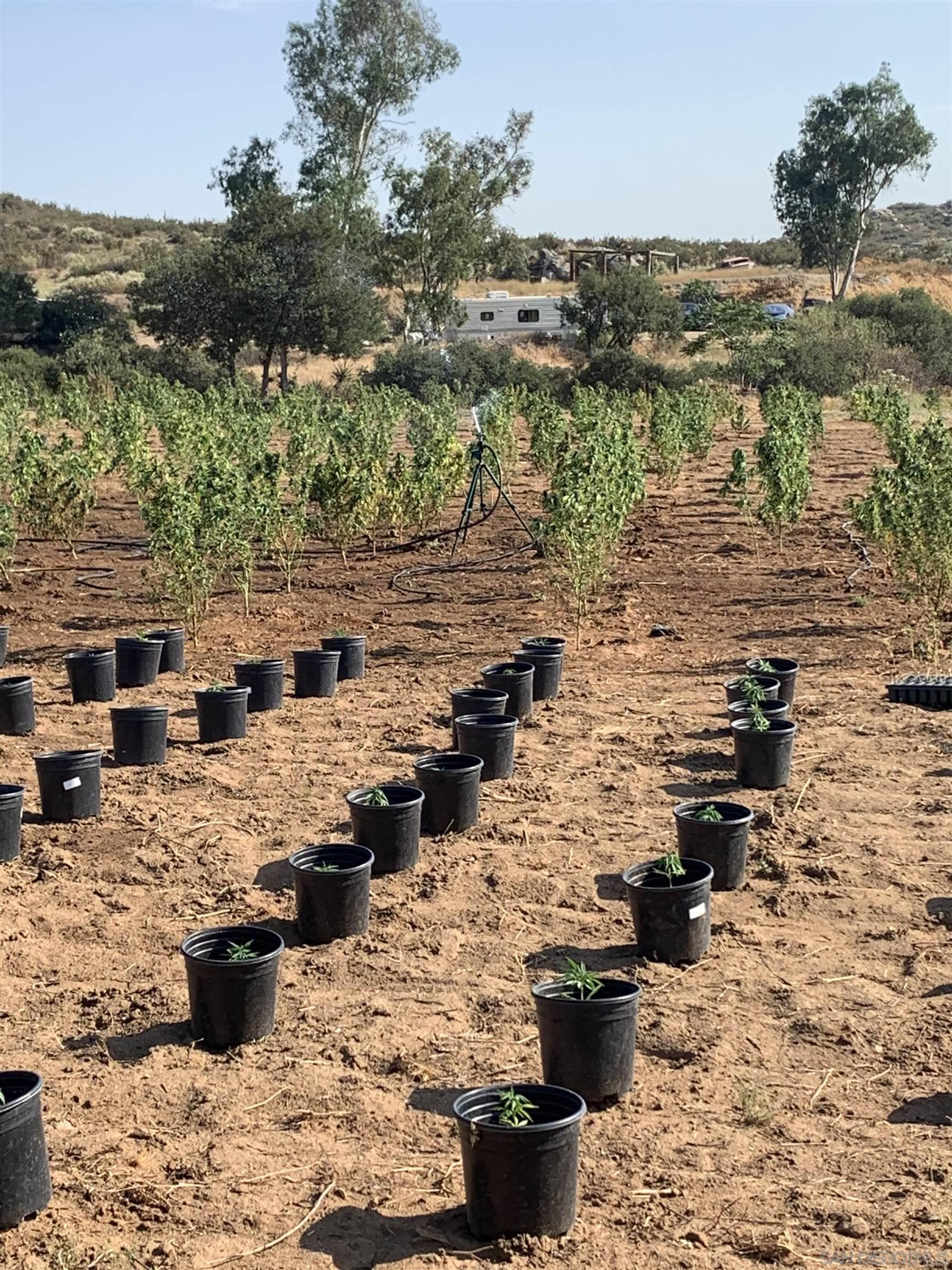 Detail Gallery Image 40 of 51 For , Potrero,  CA 91963 - – Beds | – Baths