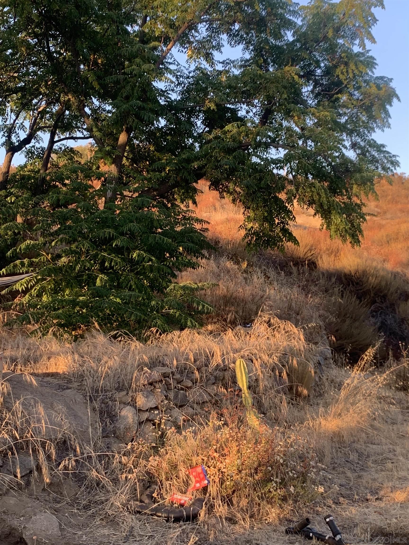 Detail Gallery Image 45 of 51 For , Potrero,  CA 91963 - – Beds | – Baths