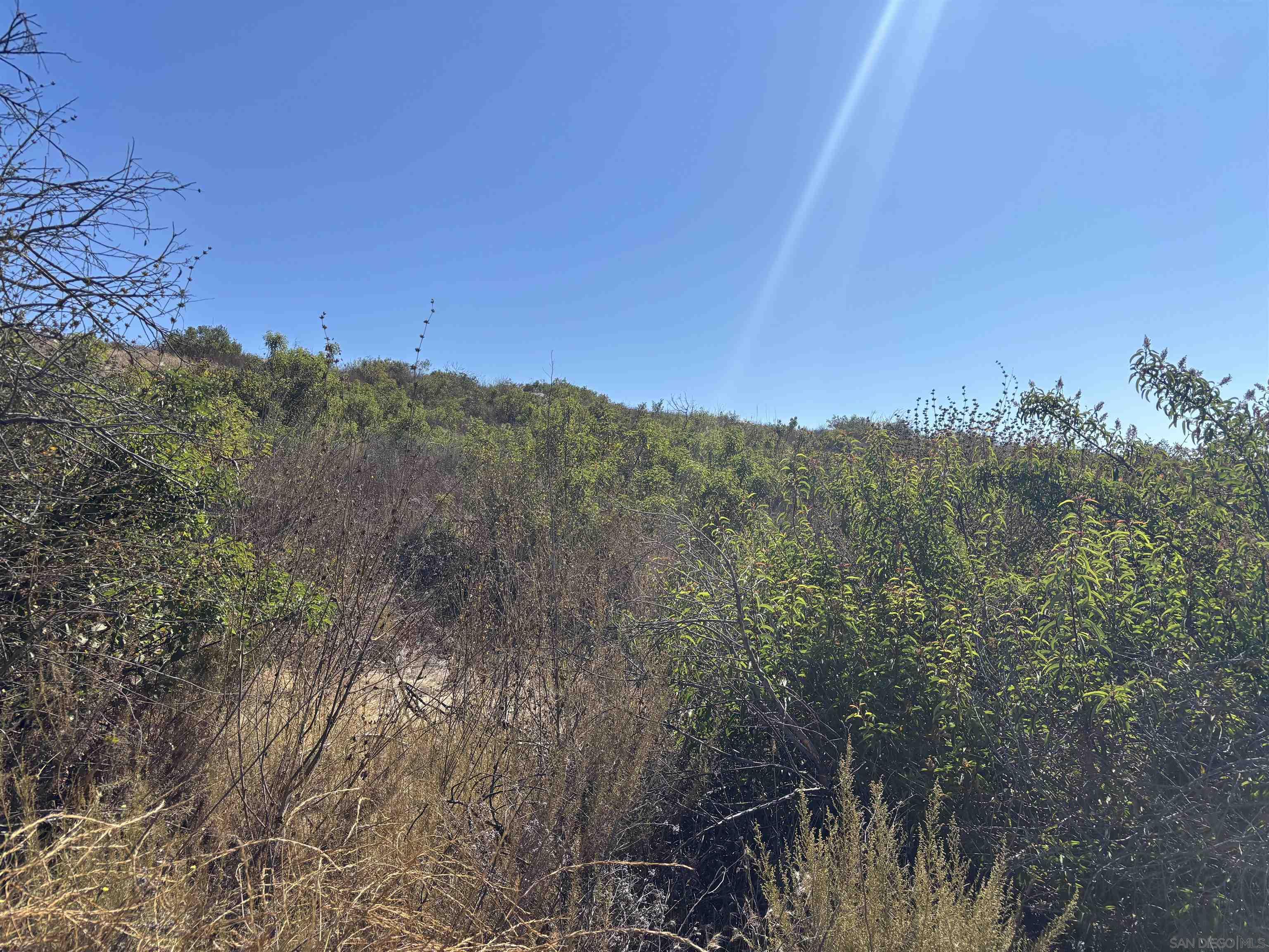 Front Image Thumbnail for SD250035332