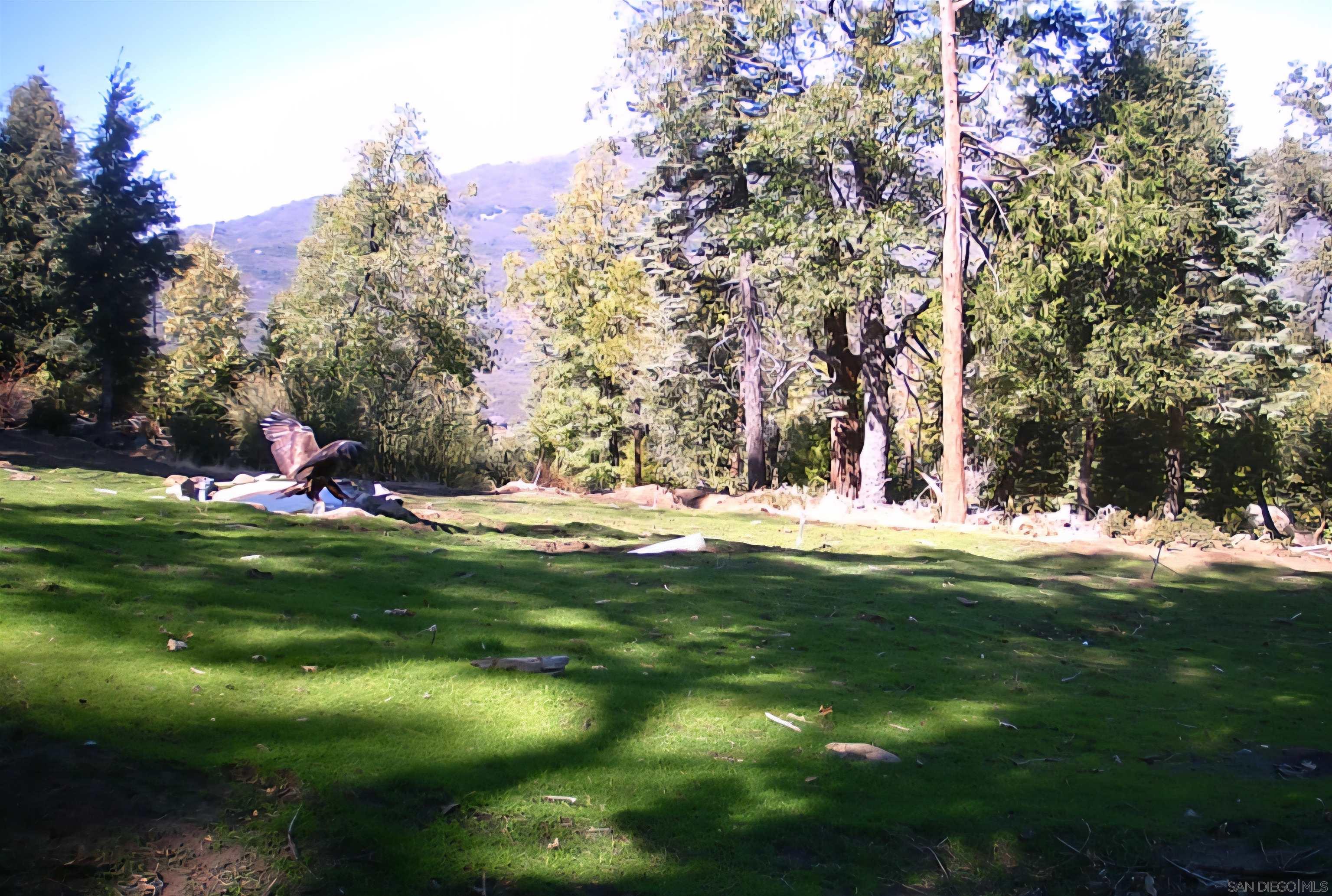 Front Image Thumbnail for SD250036030